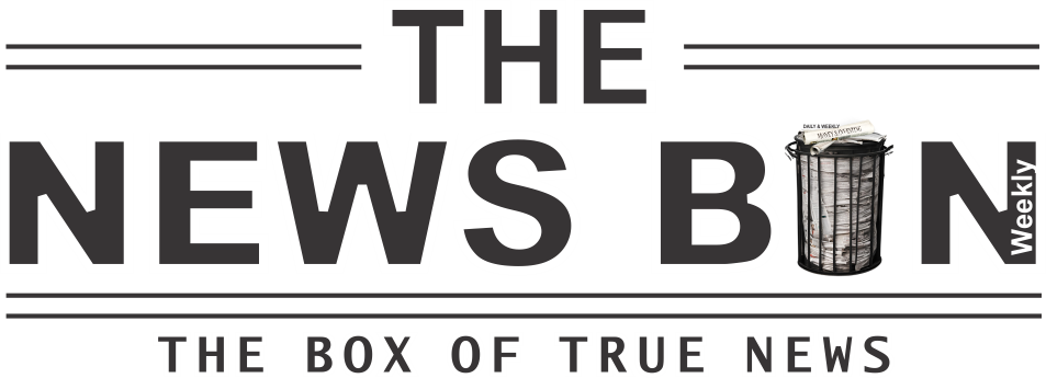 the news bin logo